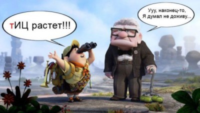 Как поднять ТИЦ сайта