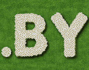 где купить домен в беларуси