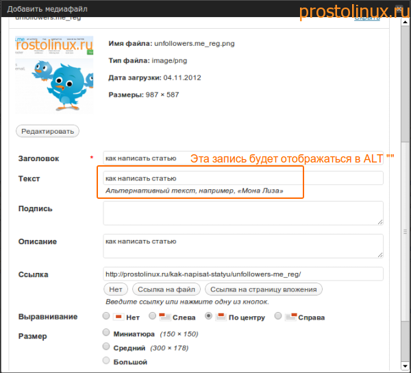 как правильно написать статью для сайта