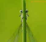 Как скрыть ссылку?